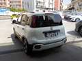 Fiat New Panda NEW - 1.0 FireFly Hybrid PANDINA - thumbnail 12