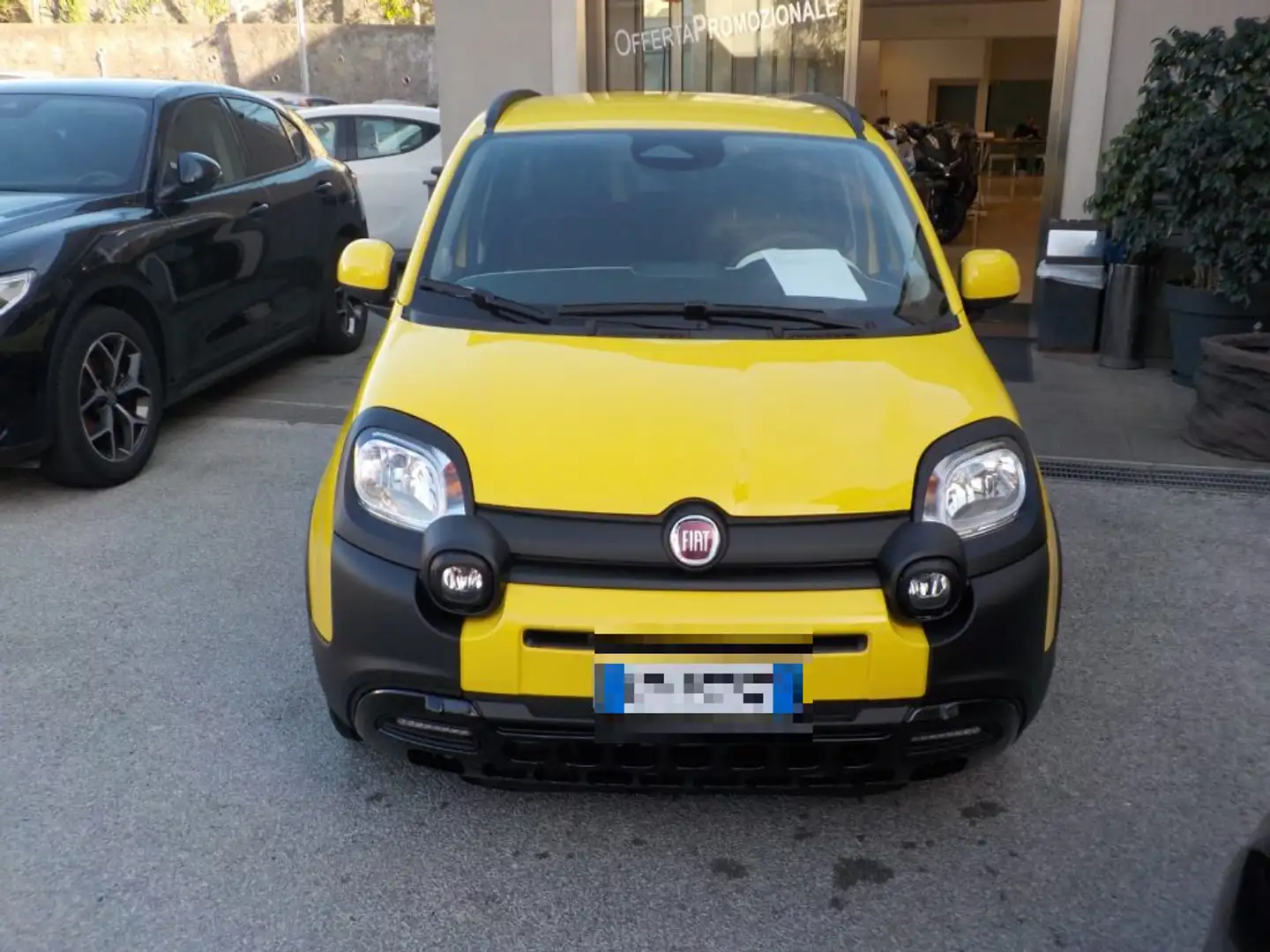 Fiat New Panda NEW - 1.0 FireFly Hybrid PANDINA - 2