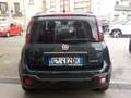 Fiat New Panda NEW - 1.0 FireFly Hybrid PANDINA - thumbnail 13