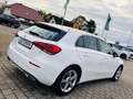 Mercedes-Benz A 250 Progressive *NAVI*KAMERA*LEDER*LED* Weiß - thumbnail 6