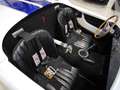 AC Cobra 7.0 BIG BLOCK EVERETT MORRISON Blanco - thumbnail 16