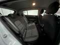 Kia Sportage 1.6 ecogpl Energy 2wd 126cv Bianco - thumbnail 15