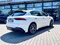 Maserati Grecale Trofeo/5Jahre Garantie/ADAS+ Blanc - thumbnail 5