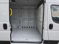 Toyota Proace Max 35 L2H2 2.2 BlueHDi 140 Comfort *Gewerbe* Alb - thumbnail 12