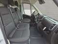Toyota Proace Max 35 L2H2 2.2 BlueHDi 140 Comfort *Gewerbe* Alb - thumbnail 15