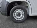Toyota Proace Max 35 L2H2 2.2 BlueHDi 140 Comfort *Gewerbe* Alb - thumbnail 13