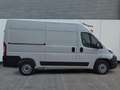 Toyota Proace Max 35 L2H2 2.2 BlueHDi 140 Comfort *Gewerbe* Alb - thumbnail 6