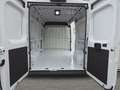 Toyota Proace Max 35 L2H2 2.2 BlueHDi 140 Comfort *Gewerbe* Alb - thumbnail 14