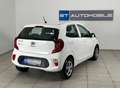 Kia Picanto Titan // 1.BESITZ // SITZHEIZUNG // KLIMA // Weiß - thumbnail 20