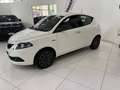 Lancia Ypsilon Ypsilon 1.2 Gold Gpl 69cv Wit - thumbnail 2