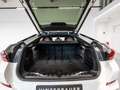 BMW X6 40d xDrive M-SPORT*CARBON*LUFTFED*PANO*H&K* Weiß - thumbnail 44