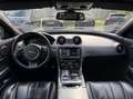 Jaguar XJ 3.0 V6 SC AWD Premium Luxury LWB|camera|massage| Wit - thumbnail 7