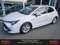 Toyota Corolla 1,8l Hybrid 5-Türer Active *DAP-PAKET* Weiß - thumbnail 1