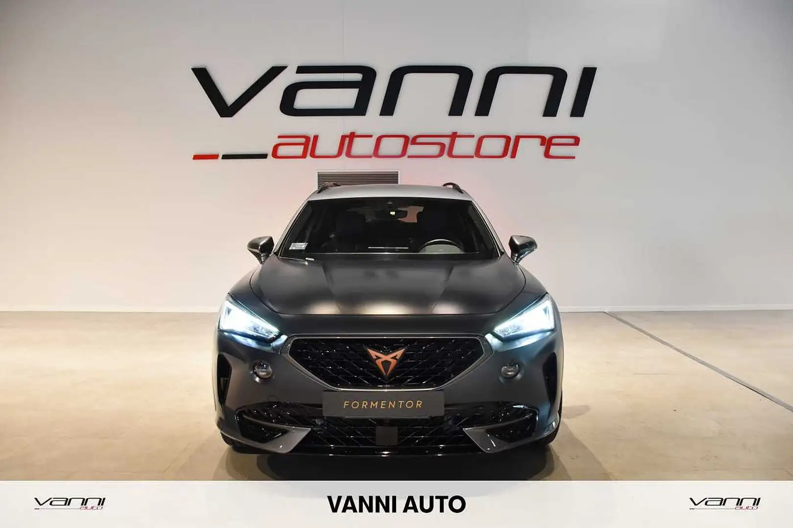 CUPRA Formentor 1.5 TSI DSG Gris - 2