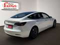 Tesla Model 3 Long Range Dual ACC AUT Kam. KeyLess LM Weiß - thumbnail 13