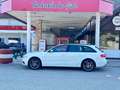 Audi A4 A4 Avant 3,0 TDI quattro  S-tronic Weiß - thumbnail 8