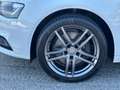 Audi A4 A4 Avant 3,0 TDI quattro  S-tronic Weiß - thumbnail 10