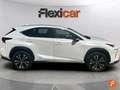 Lexus NX 300h 2.5 Business 2WD Blanco - thumbnail 7