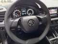 Skoda Kamiq Kamiq 1.0 tsi Ambition 95cv Gris - thumbnail 23