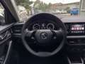Skoda Kamiq Kamiq 1.0 tsi Ambition 95cv Gris - thumbnail 21