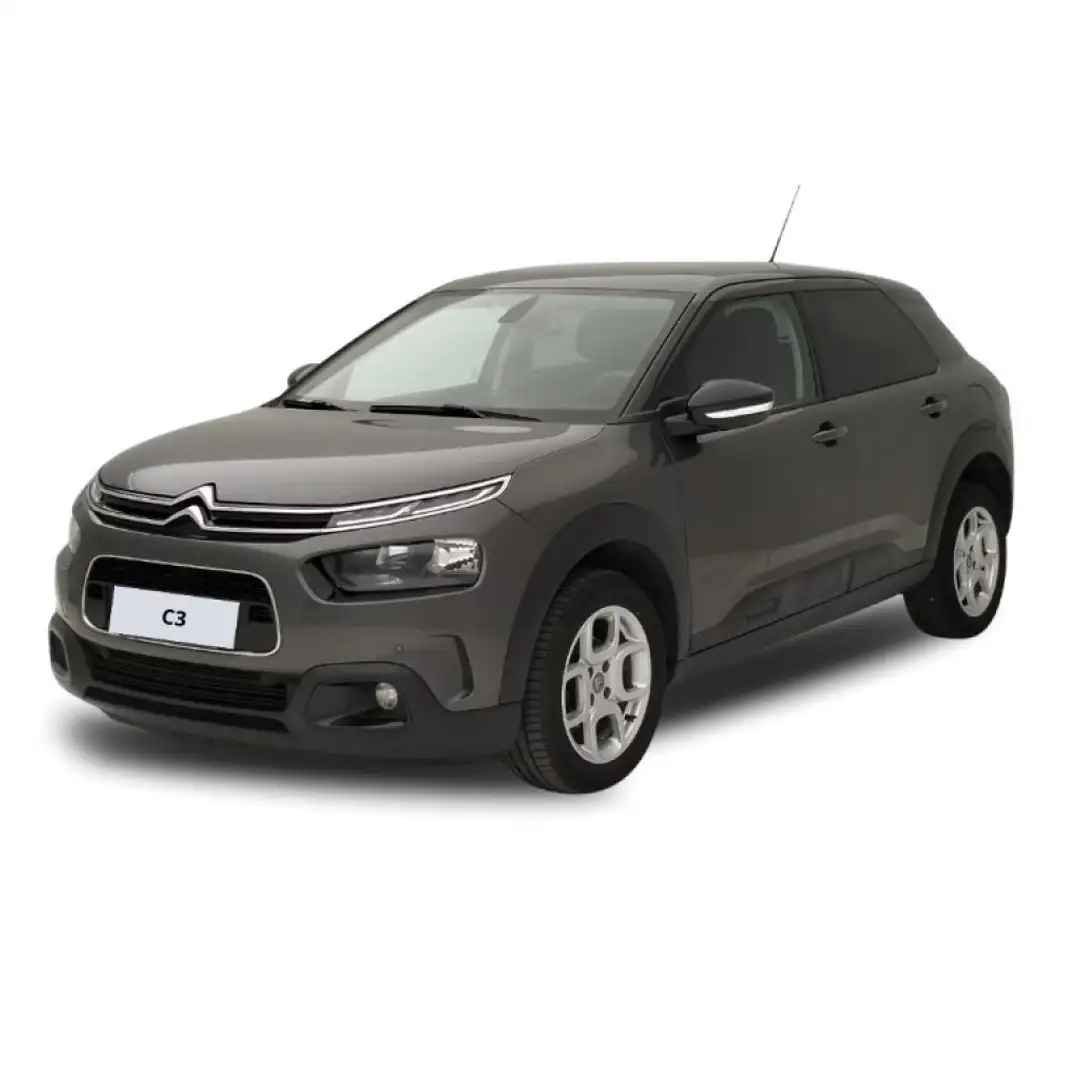 Citroen C4 Cactus BlueHDi 100 Shine Grigio - 1