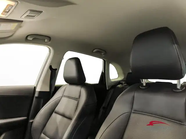 MG ZS view 19