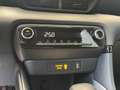 Toyota Yaris Yaris 1.5 Hybrid 5 porte Business Nero - thumbnail 18