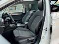 SEAT Leon Xcellence 2.0 TDI DSG|KAM|AHK|PANO|NAV|VIRT Weiß - thumbnail 13