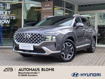 PHEV 1.6 T-GDI A/T 4WD Prime / AHK / Winterräder /