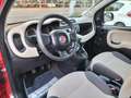 Fiat Panda OCCASIONE! Marrone - thumbnail 9