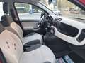 Fiat Panda OCCASIONE! Marrone - thumbnail 12