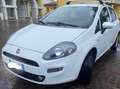 Fiat Grande Punto Blanc - thumbnail 1