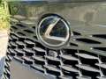 Lexus RX 350h Hybrid Executive Line | Panorama dak | HUD | 360° Grün - thumbnail 12