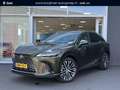 Lexus RX 350h Hybrid Executive Line | Panorama dak | HUD | 360° Grün - thumbnail 1