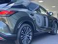 Lexus RX 350h Hybrid Executive Line | Panorama dak | HUD | 360° Vert - thumbnail 50