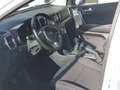 Kia Sportage Sportage 1.7 crdi Business Class 2wd 115cv Bianco - thumbnail 6