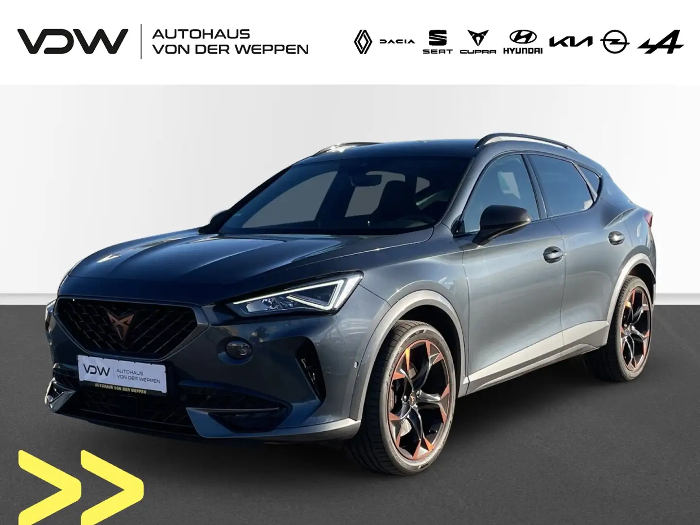 CUPRA Formentor VZ TSI DSG 4Drive AHK Beats Memory Klima Navi Grau - 1