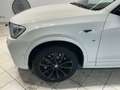 BMW X4 X4 xDrive30d Aut.Advantage Weiß - thumbnail 1