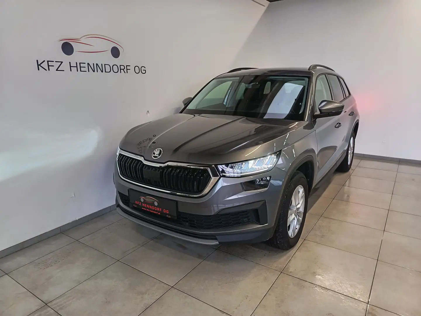 Skoda Kodiaq 2,0 TDI DSG Grau - 1