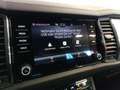 Skoda Kodiaq 2,0 TDI DSG Grau - thumbnail 14