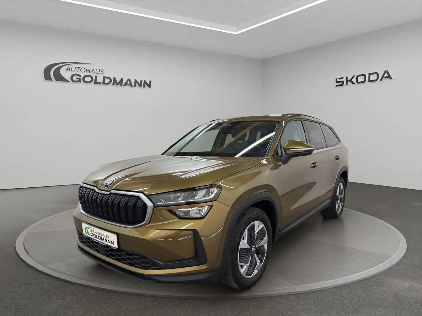 Skoda Kodiaq Selection 2,0 TDI 110 kW 7-Gang DSG Gold - 1