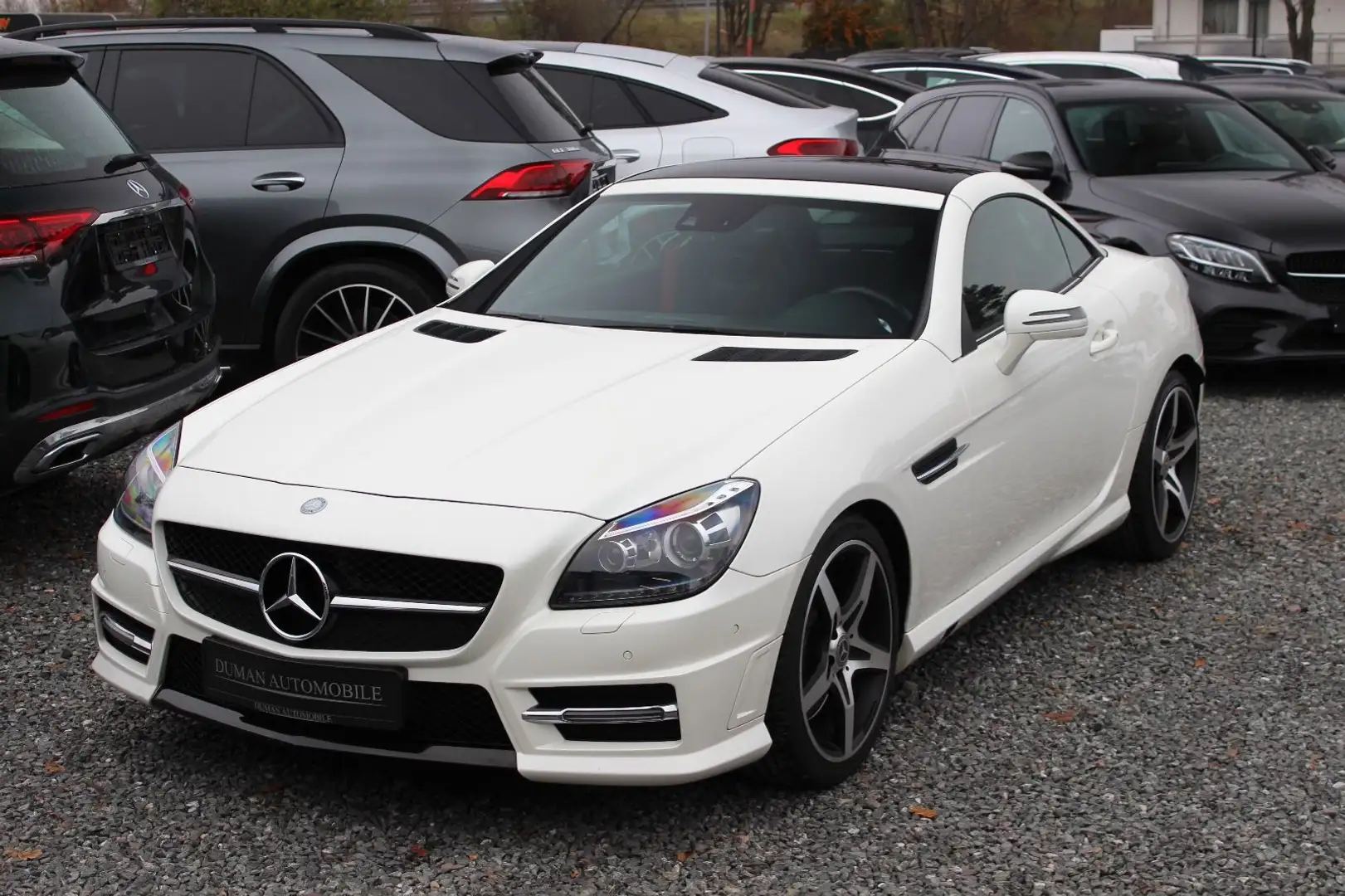 Mercedes-Benz SLK 250 CDI 7G-TRONIC - AMG-PAKET PANO IWC NAVI Blanc - 1