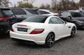 Mercedes-Benz SLK 250 CDI 7G-TRONIC - AMG-PAKET PANO IWC NAVI Blanc - thumbnail 6