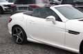 Mercedes-Benz SLK 250 CDI 7G-TRONIC - AMG-PAKET PANO IWC NAVI Blanc - thumbnail 25
