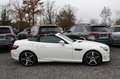 Mercedes-Benz SLK 250 CDI 7G-TRONIC - AMG-PAKET PANO IWC NAVI Blanc - thumbnail 24
