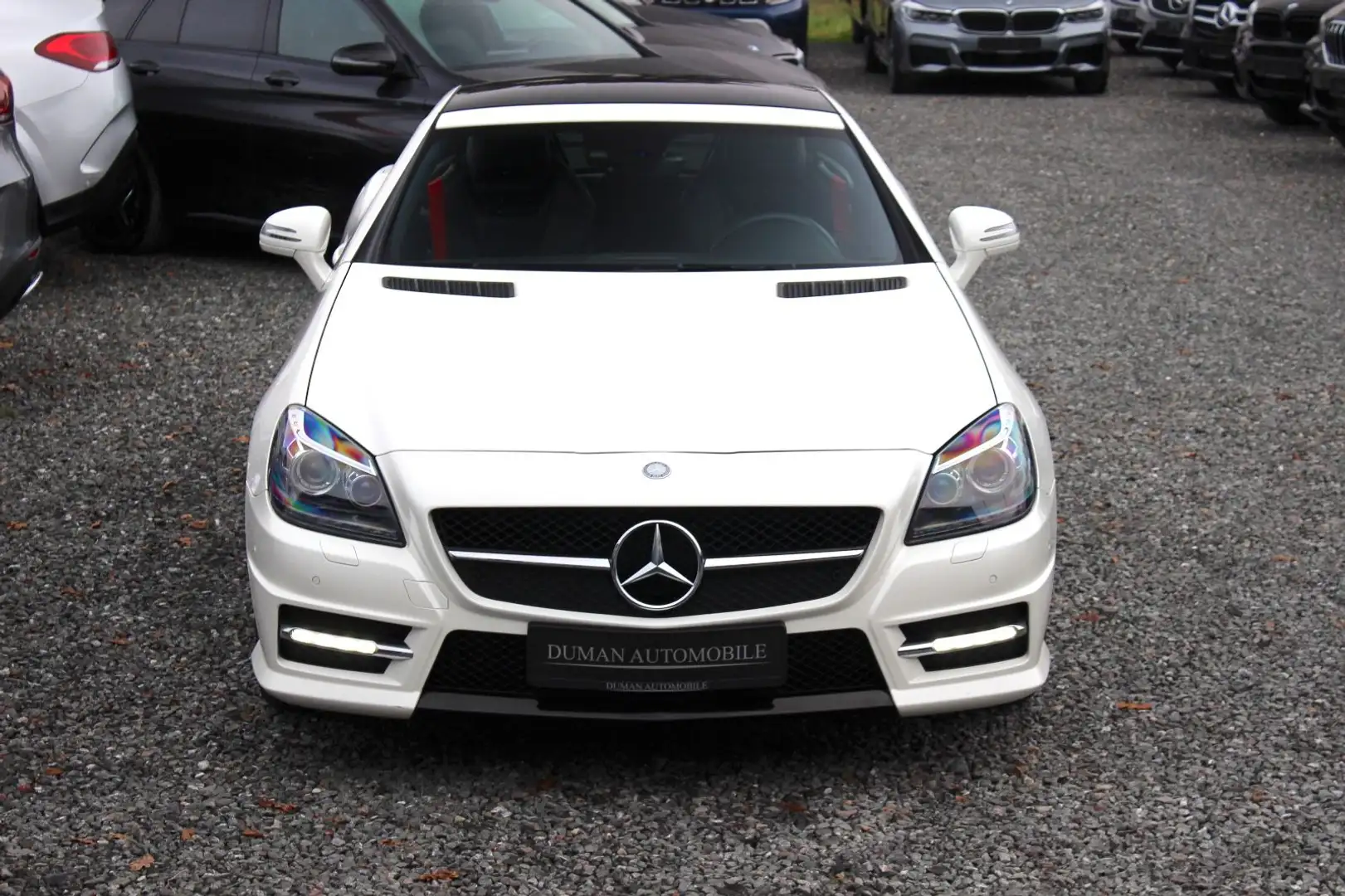 Mercedes-Benz SLK 250 CDI 7G-TRONIC - AMG-PAKET PANO IWC NAVI Blanc - 2