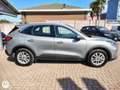Ford Kuga Kuga 2.0 EcoBlue Hybrid 150 CV 2WD Titanium Busine Grigio - thumbnail 4