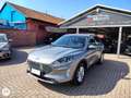 Ford Kuga Kuga 2.0 EcoBlue Hybrid 150 CV 2WD Titanium Busine Grigio - thumbnail 1