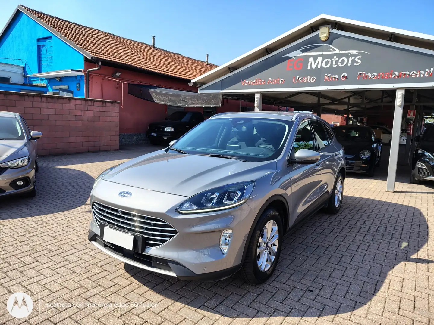 Ford Kuga Kuga 2.0 EcoBlue Hybrid 150 CV 2WD Titanium Busine Grigio - 1