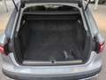 Audi A4 allroad A4 40 allroad quattro 2.0 TDI AHK SpoSi HuD LED Серебристый - thumbnail 12